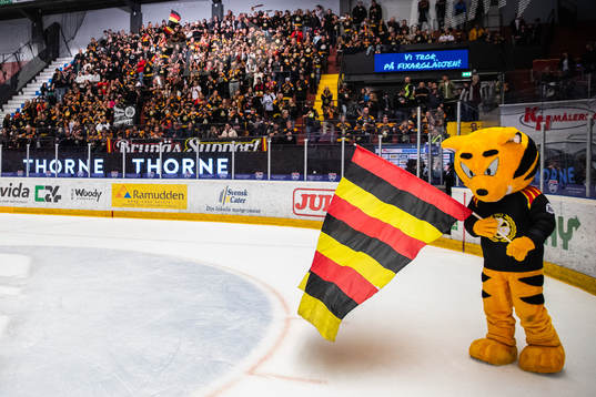 Brynäs maskot