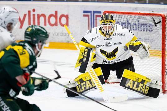 Västerås målvakt Linus Ryttar