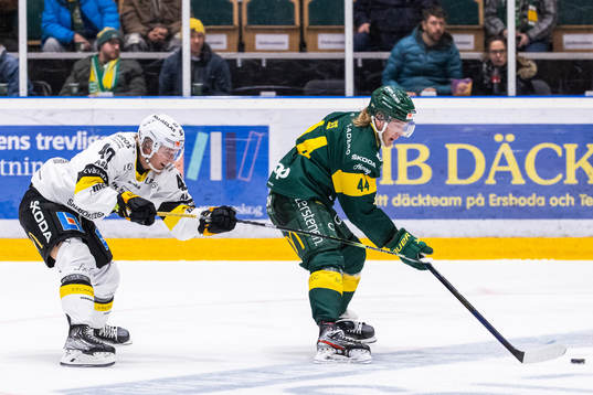 Västerås Isak Skedung och Björklövens Olle Liss