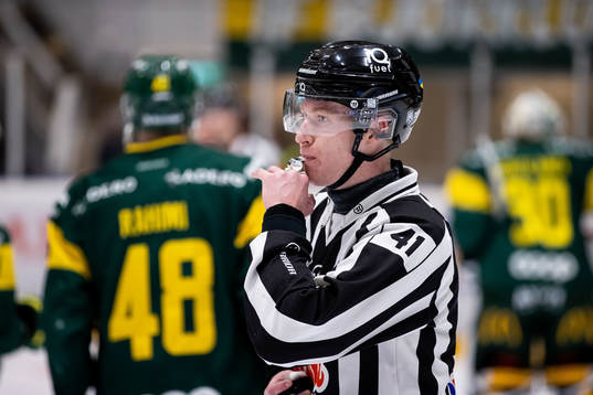 Domare Teodor Sörholm