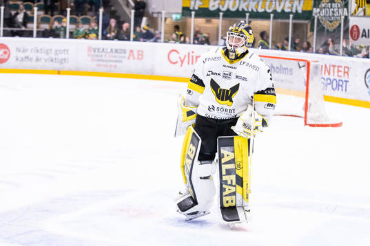 Västerås målvakt Linus Ryttar deppar