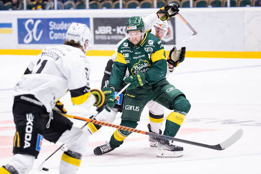 Björklövens Sebastian Selin