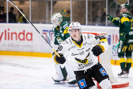 Västerås Isak Skedung