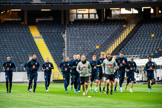 Players of Sweden