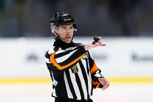 Domare Linus Öhlund
