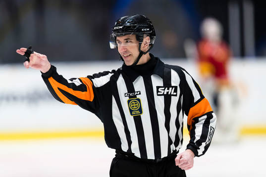 Domare Linus Öhlund