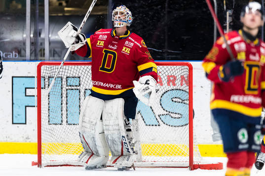 Djurgårdens målvakt Alexander Salak
