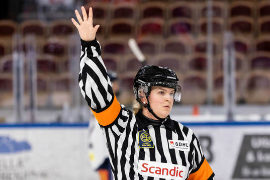 Domare Maria Furberg