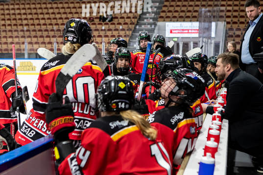 Luleås tränare Mikael Forsberg instruerar spelarna