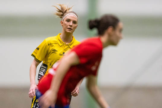 Elfsborgs Saga Andersson