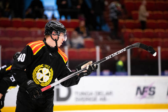 Brynäs Tomi Sallinen