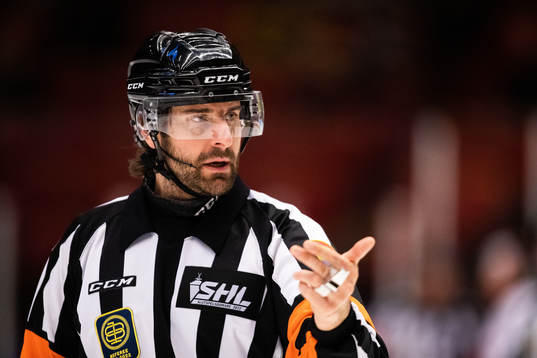 Domare Mikael Sjöqvist