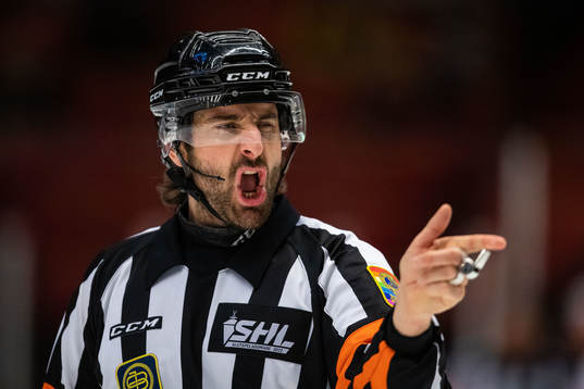 Domare Mikael Sjöqvist