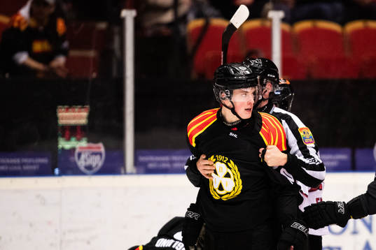 Brynäs Noel Gunler