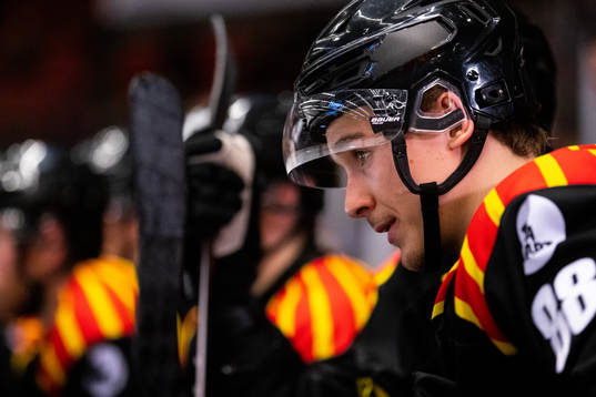 Brynäs Dmytro Timashov