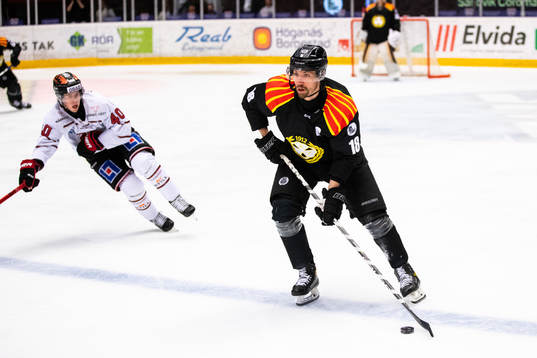 Brynäs Anton Rödin