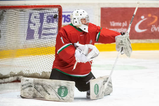Modos målvakt Lisa Jönsson släpper in 0-1