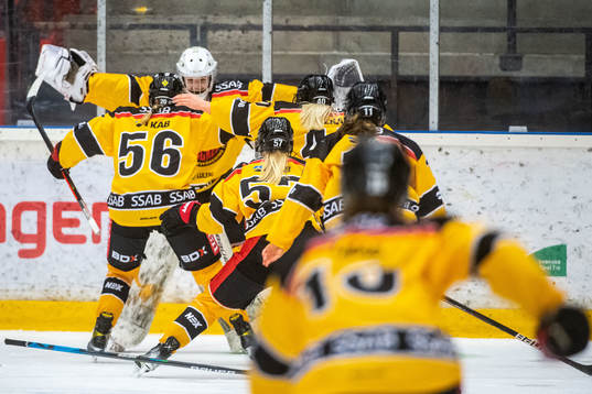 Luleås spelare jublar