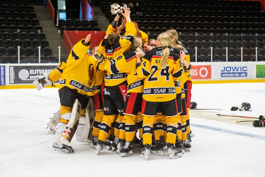 Luleås spelare jublar