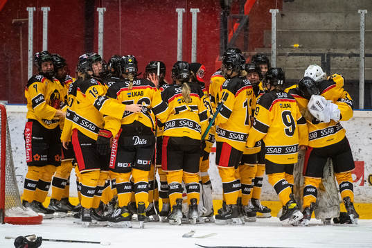 Luleås spelare jublar