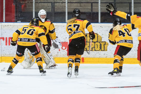 Luleå spelare jublar