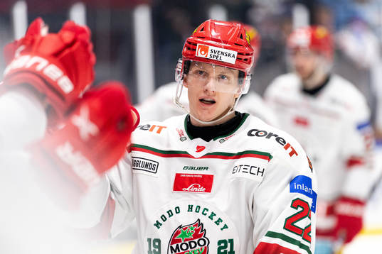 Modos Daniel Mannberg jublar
