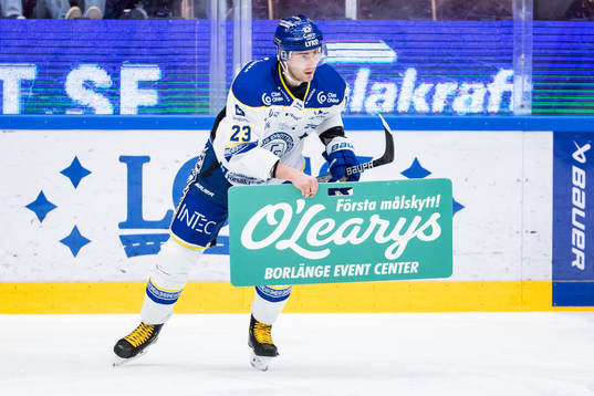Leksands Mikael Ruohomaa