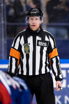 Domare Mikael Holm