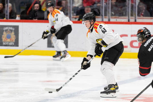 Brynäs Julius Bergman