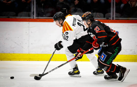 Brynäs Adam Pettersson och Örebros Linus Öberg