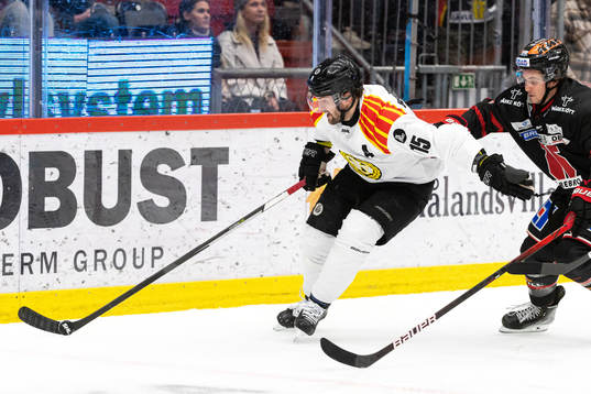 Brynäs Simon Bertilsson