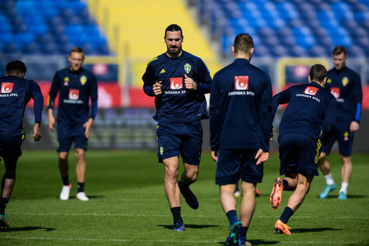 Zlatan Ibrahimovic of the Swedish national football team