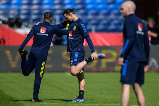 Zlatan Ibrahimovic of the Swedish national football team