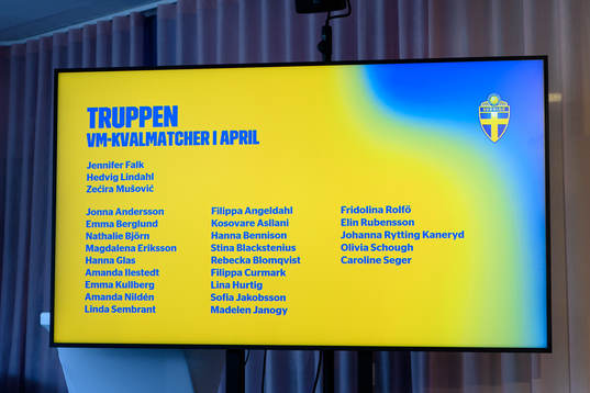 The Swedish squad presented by head coach Peter Gerhardsson