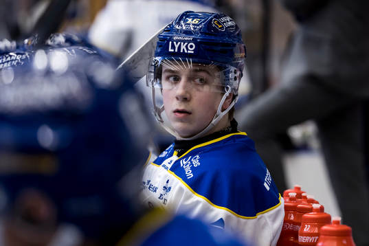 Leksands Arvid Eljas