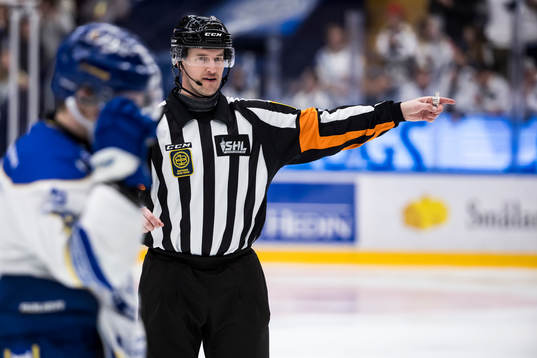 Domare Mikael Holm