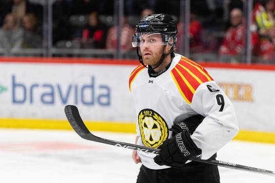 Brynäs Anton Mylläri