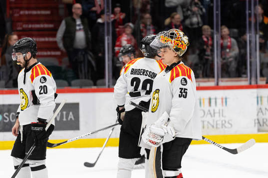 Brynäs målvakt Veini Vehviläinen deppar