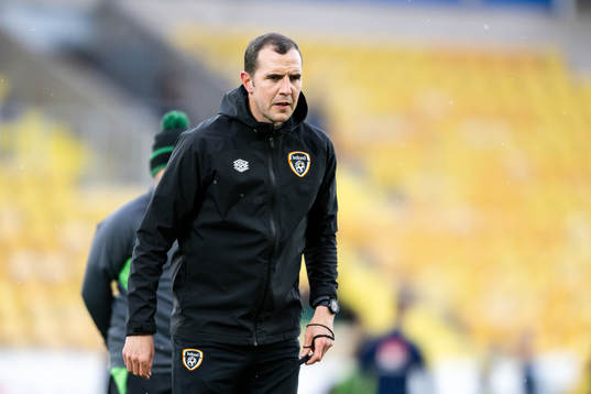 Head coach James Crawford of Ireland