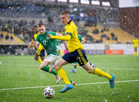 Ross Tierney of Ireland and Patrik Wålemark of Sweden