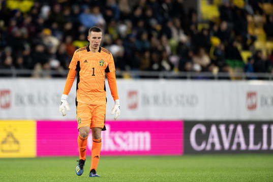 Goalkeeper Samuel Brolin of Sweden