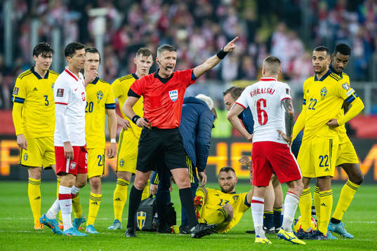 Referee Daniele Orsato