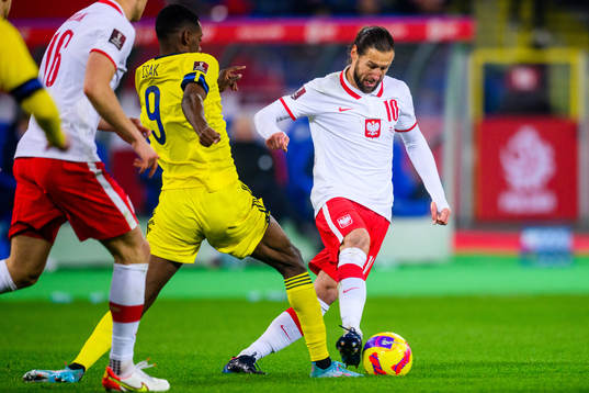 Alexander Isak of Sweden and Grzegorz Krychowiak of Poland
