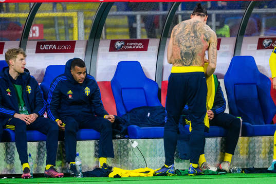 Zlatan Ibrahimovic  of Sweden with a large tattoo
