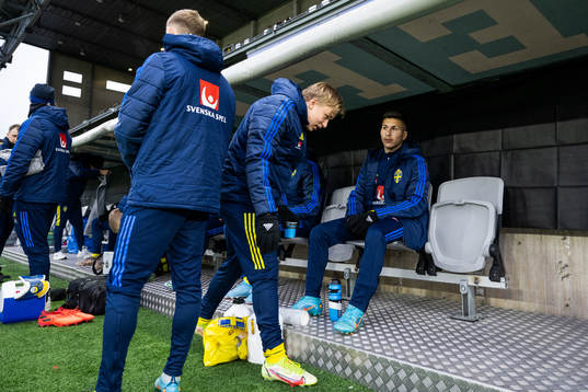 Roony Bardaglin of Sweden