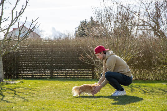Lucas Ekeståhl-Jonsson och hunden Levi