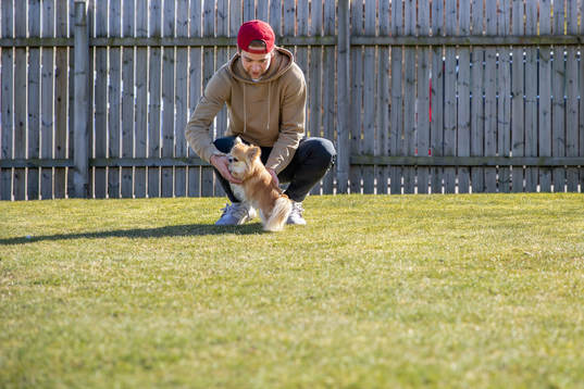 Lucas Ekeståhl-Jonsson och hunden Levi