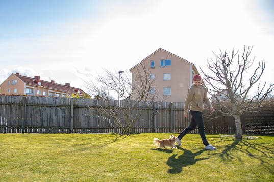 Lucas Ekeståhl-Jonsson och hunden Levi