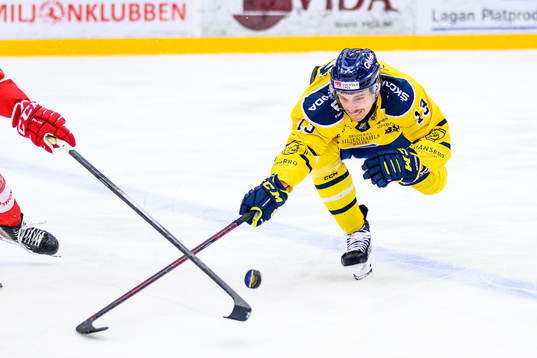 Södertäljes Gustav Willman Borvik