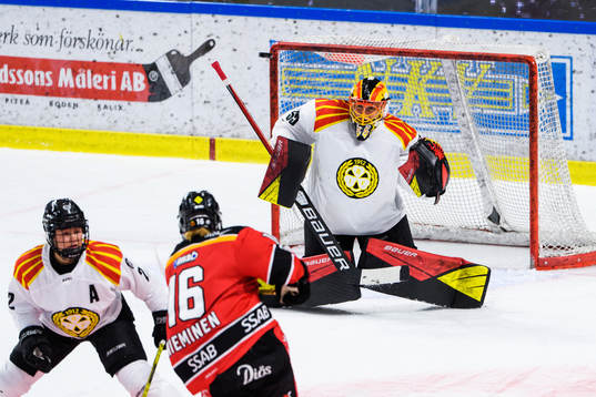 Brynäs målvakt Ellen Johnsson